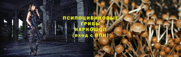 мескалин Инсар