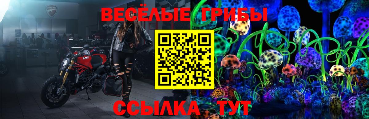 Псилоцибиновые грибы мухоморы  Вход с VPN  Владимир 
