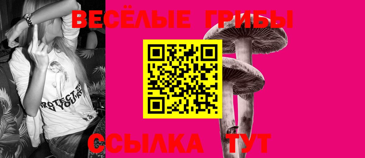 Псилоцибиновые грибы мицелий  Владимир  Псилоцибиновые грибы GOLDEN TEACHER 