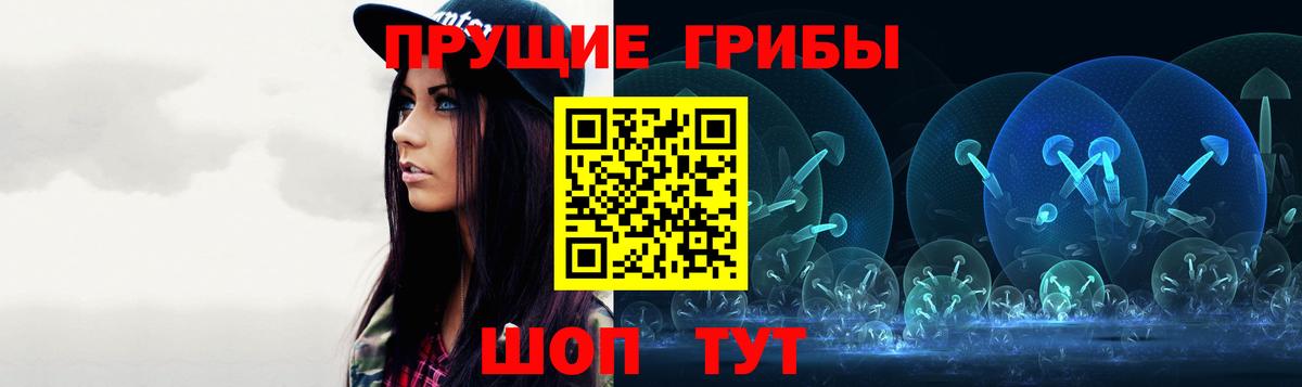 Псилоцибиновые грибы Psilocybe Владимир