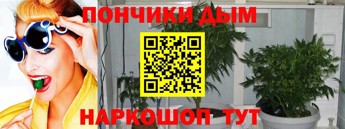 Канабис семена Владимир